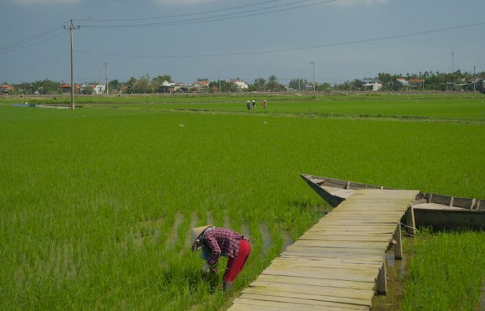 Umgebung von Hoi An Umgebung von Hoi An